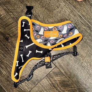 Halloween Lucy & Co harness
